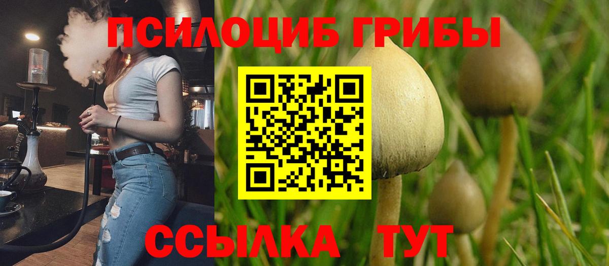 Галлюциногенные грибы прущие грибы Сочи